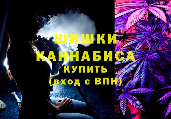 PSILOCYBIN Алзамай
