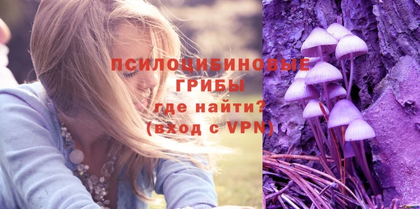 твердый Алексеевка