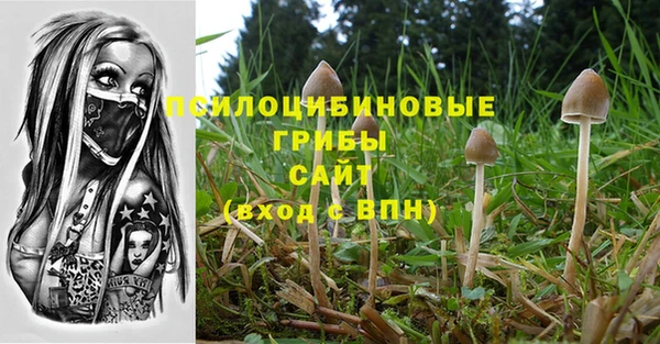 PSILOCYBIN Алзамай