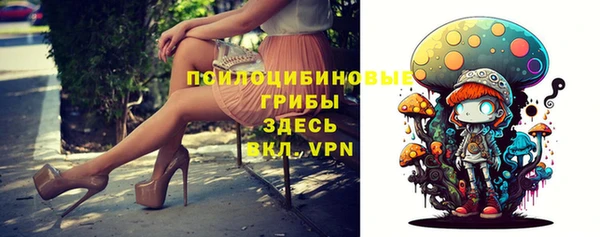 твердый Алексеевка