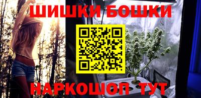 стаф Сланцы