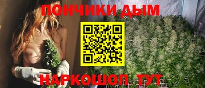 стаф Сланцы