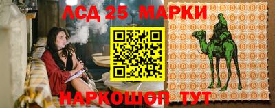 стаф Сланцы