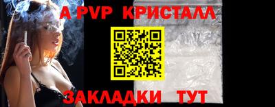 стаф Сланцы