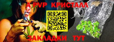 стаф Сланцы