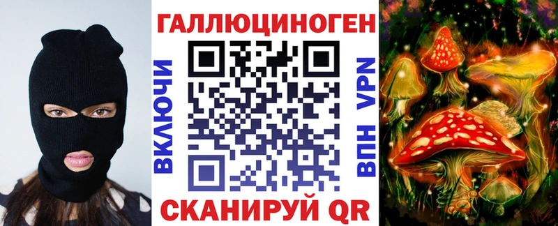 что такое   Обнинск  Галлюциногенные грибы Cubensis 