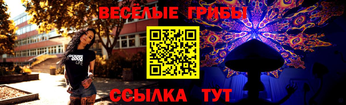 Галлюциногенные грибы GOLDEN TEACHER Обнинск