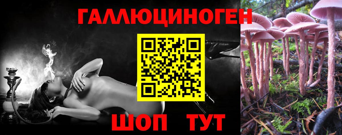 Обнинск  Псилоцибиновые грибы Psilocybe  Вход с VPN  Галлюциногенные грибы мухоморы 
